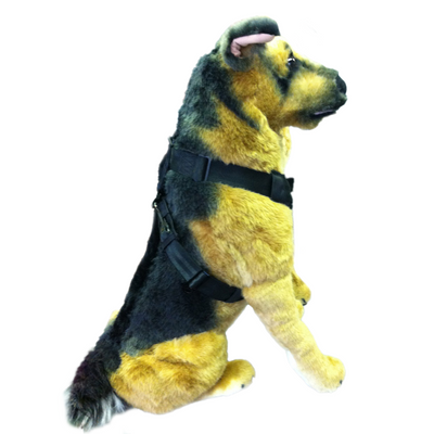SHEPHERD