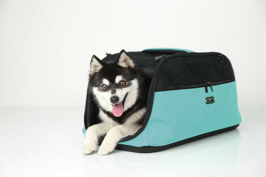 Sleepypod Air