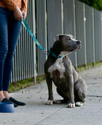 Locking Martingale Collar
